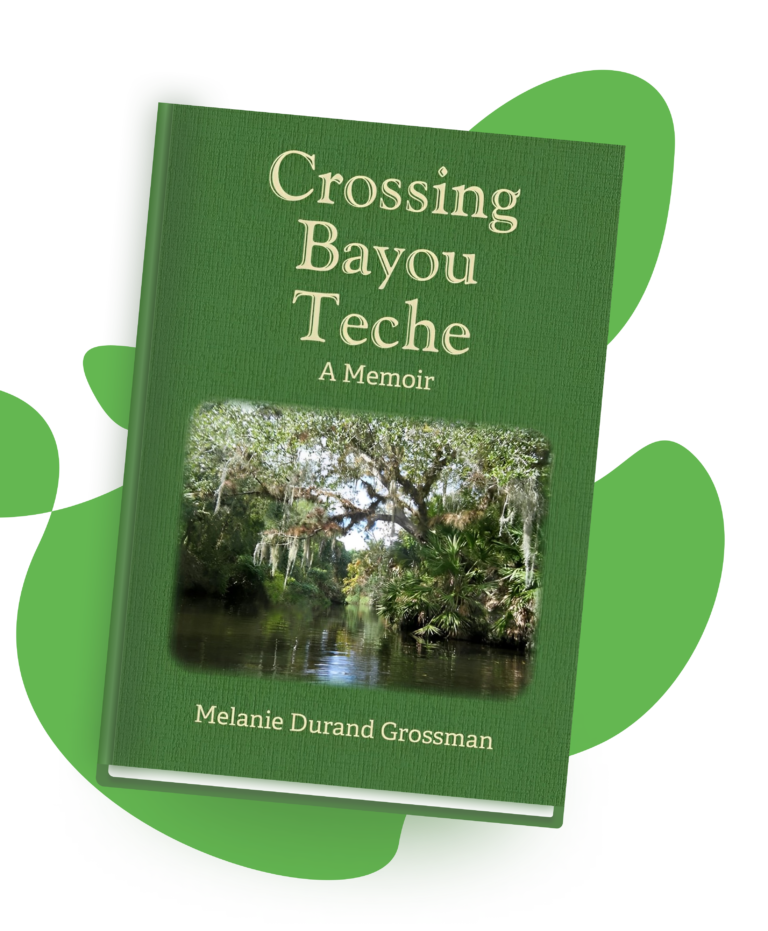 Crossing Bayou Teche book